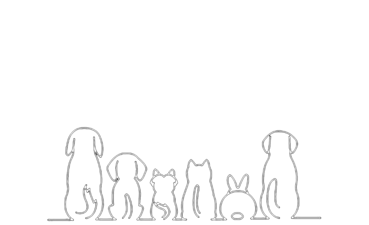 ローディングロゴ